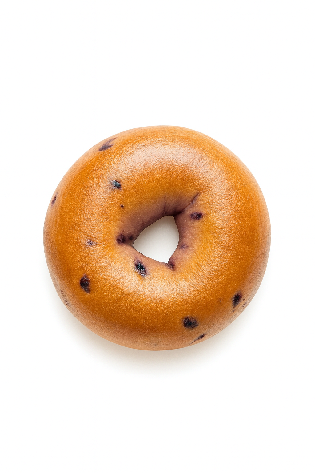 Blueberry Bagel
